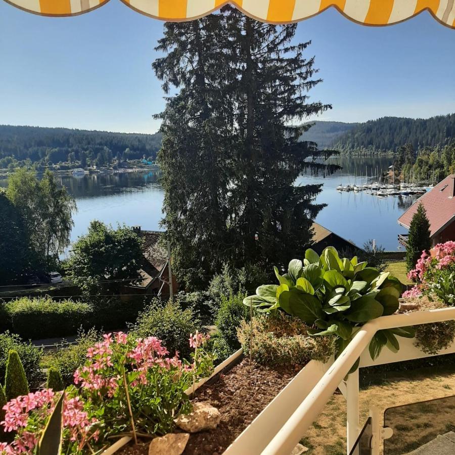 Sunside Ferien Wellness Oase Hotel Apartment'S Schwarzwald Am Schluchsee Luaran gambar